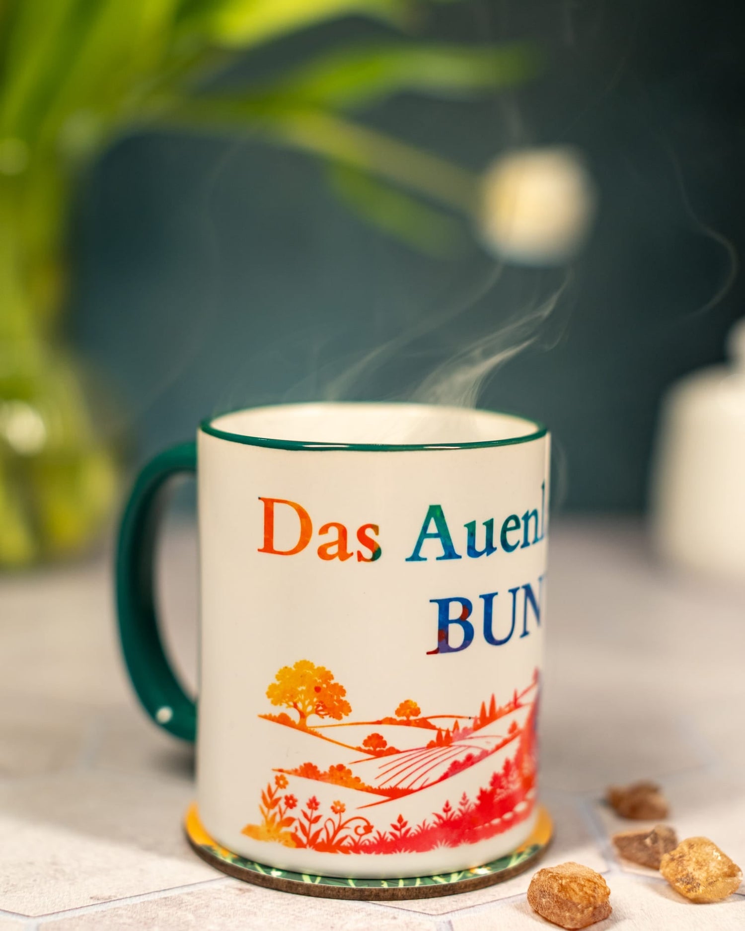 Höhle & Garten